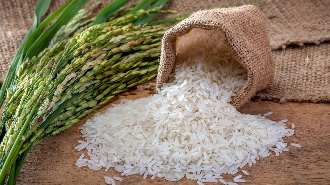 How Many Calories Are in Cooked Rice? The Definitive Guide